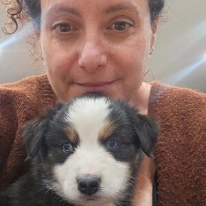 Meet your Posher, Ayelet